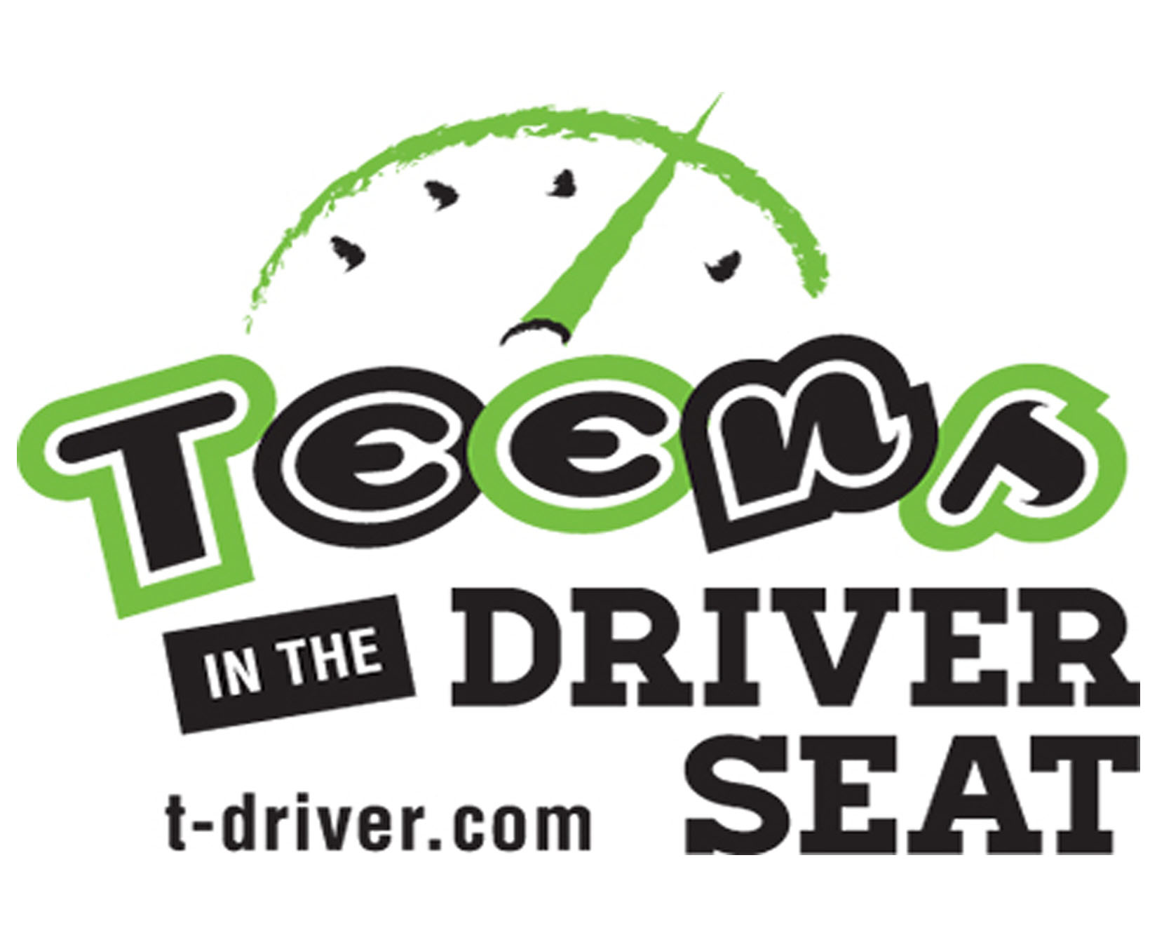 Teens in the Driver Seat Logo